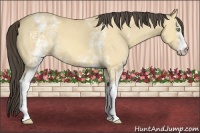 Horse Color:White Spotted Amber Cream Champagne Dun
