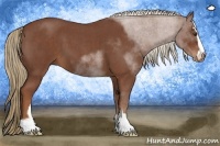 Horse Color:Red Roan Sabino 