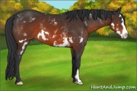 Horse Color:White Spotted Brown Splash Frame 