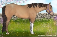 Horse Color:Amber Champagne Tobiano 
