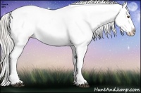 Horse Color:Silver Brown Ice Pearl Appaloosa Rabicano 