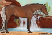 Horse Color:Silver Bay 