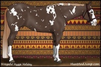 Horse Color:White Spotted Liver Chestnut Splash 