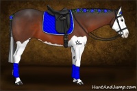 Horse Color:Bay Splash 