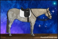 Horse Color:Buckskin Ice Sabino