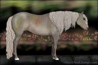 Horse Color:Silver Black Frame 