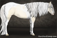 Horse Color:Silver Buckskin Pearl Dun Sabino Splash Tobiano Rabicano