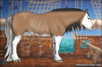 Horse Color:Buckskin Sabino Splash Rabicano