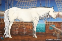 Horse Color:Silver Amber Cream Champagne Pearl Dun