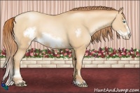 Horse Color:Sable Champagne Pearl Sabino Frame Rabicano
