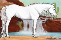 Horse Color:Silver Bay Roan Splash Appaloosa