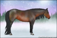 Horse Color:Brown 