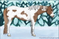 Horse Color:Chestnut Tobiano Frame Rabicano