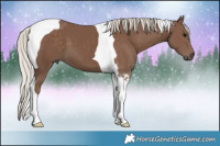 Horse Color:Silver Black Tobiano