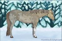 Horse Color:Chocolate Palomino Ice 