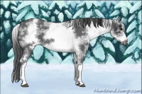 Horse Color:White Spotted Blue Roan Splash Frame 