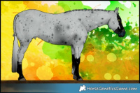 Horse Color:ERROR: UNKNOWN ANOMALY