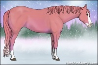 Horse Color:Watercolor Chestnut Splash 