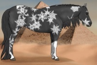 Horse Color:Smoky Black Ice Tobiano
