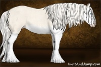 Horse Color:Cremello Roan Splash