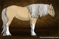 Horse Color:Palomino Dun Tobiano 