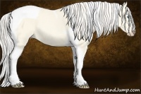 Horse Color:Cremello Dun Tobiano