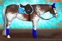 Horse Color:White Spotted Bay Splash
