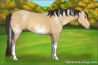 Horse Color:White Spotted Amber Champagne Dun 