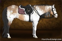 Horse Color:White Spotted Bay Dun
