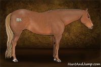 Horse Color:Chestnut Sabino