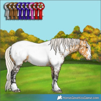 Horse Color:Silver Buckskin Near Fewspot 