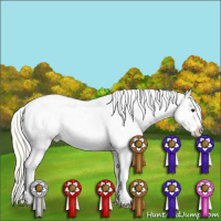 Horse Color:Silver Buckskin Appaloosa 