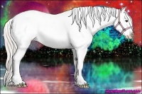 Horse Color:Silver Bay Appaloosa 