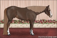 Horse Color:Liver Chestnut Sabino