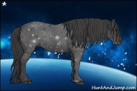 Horse Color:Smoky Black 