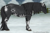 Horse Color:Black Ice Rabicano 