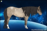 Horse Color:Sable Cream Champagne