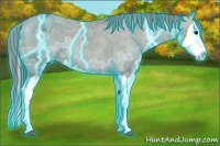 Horse Color:Thunderstruck Black Ice Sabino Splash Appaloosa Rabicano