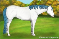 Horse Color:Watercolor White Spotted Bay 