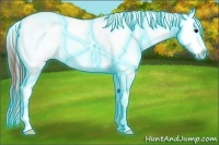 Horse Color:Thunderstruck Black Ice Appaloosa Rabicano 