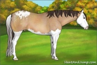 Horse Color:Amber Champagne Splash Varnish 