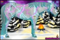 Horse Color:Thunderstruck Black Ice Appaloosa 