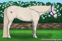 Horse Color:Smoky Creme 