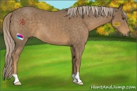 Horse Color:Chocolate Palomino Roan