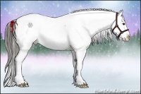 Horse Color:Smoky Black Appaloosa 