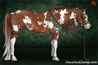 Horse Color:White Spotted Chestnut Splash 