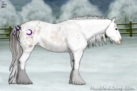 Horse Color:Brown Ice Appaloosa Brindle