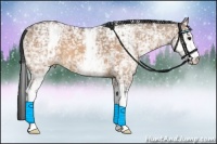 Horse Color:White Spotted Bay Ice Dun
