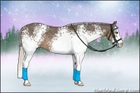 Horse Color:White Spotted Silver Smoky Black Splash 
