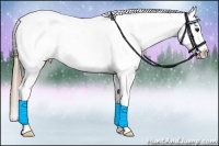 Horse Color:Brown Ice Pearl Appaloosa 